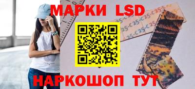 дживик Гай