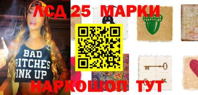 гидропоника Гатчина