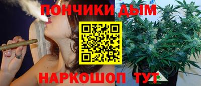 дживик Гай