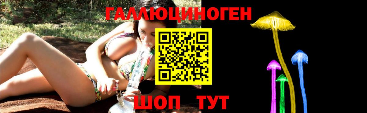 Добрянка  Псилоцибиновые грибы Psilocybine cubensis  Вход с VPN 